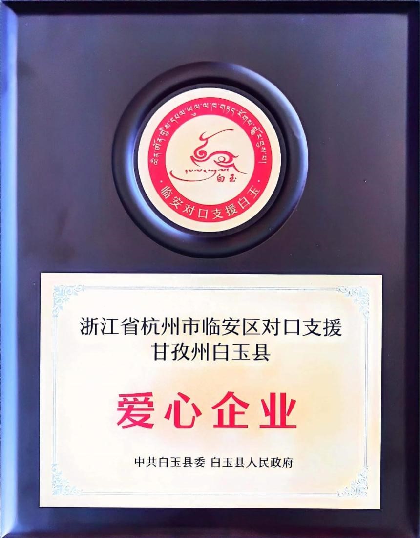 db电子游戏  社会责任汇报
