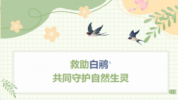救助白鹇，共同守护天然生灵
