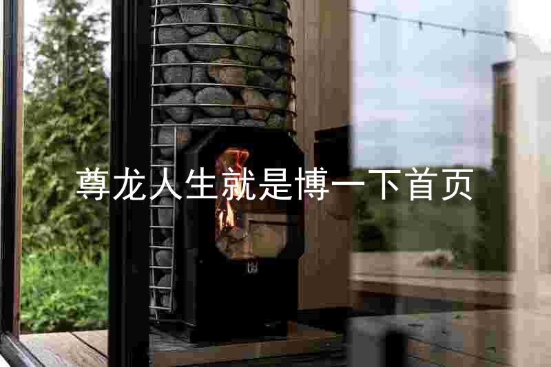 尊龙人生就是博一下首页