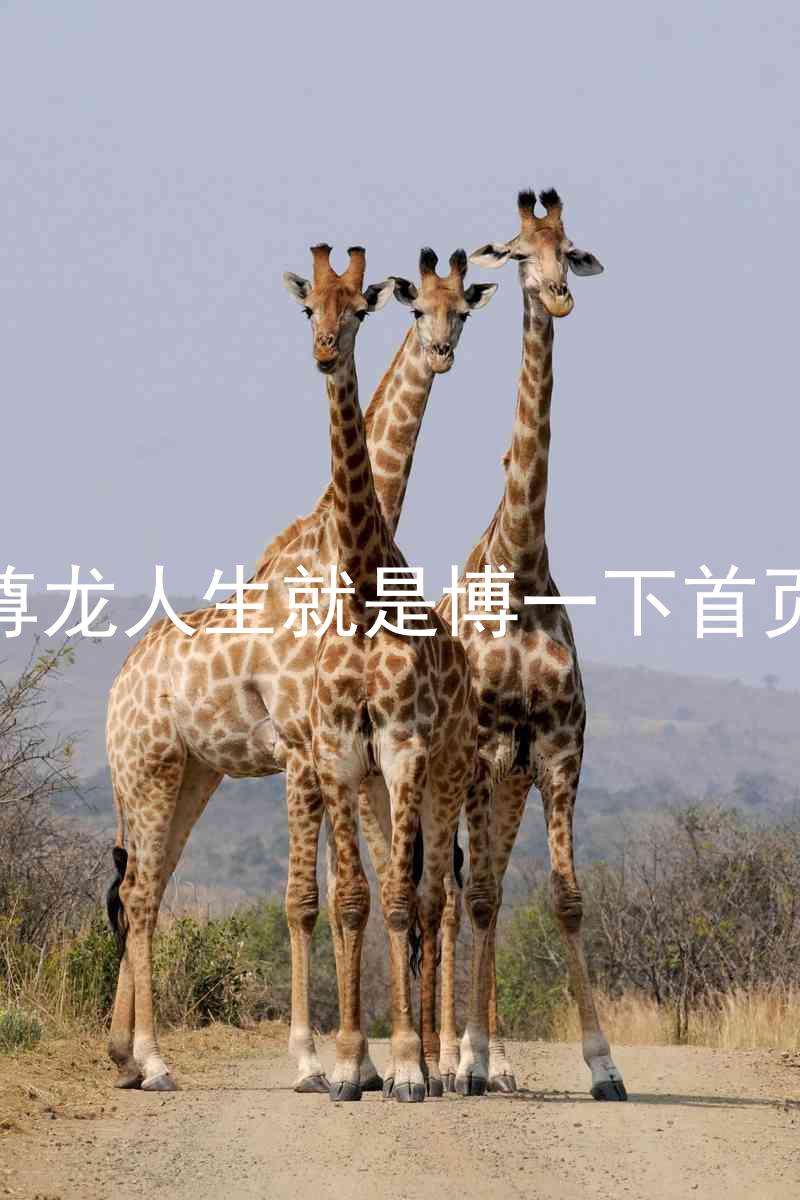 尊龙人生就是博一下首页