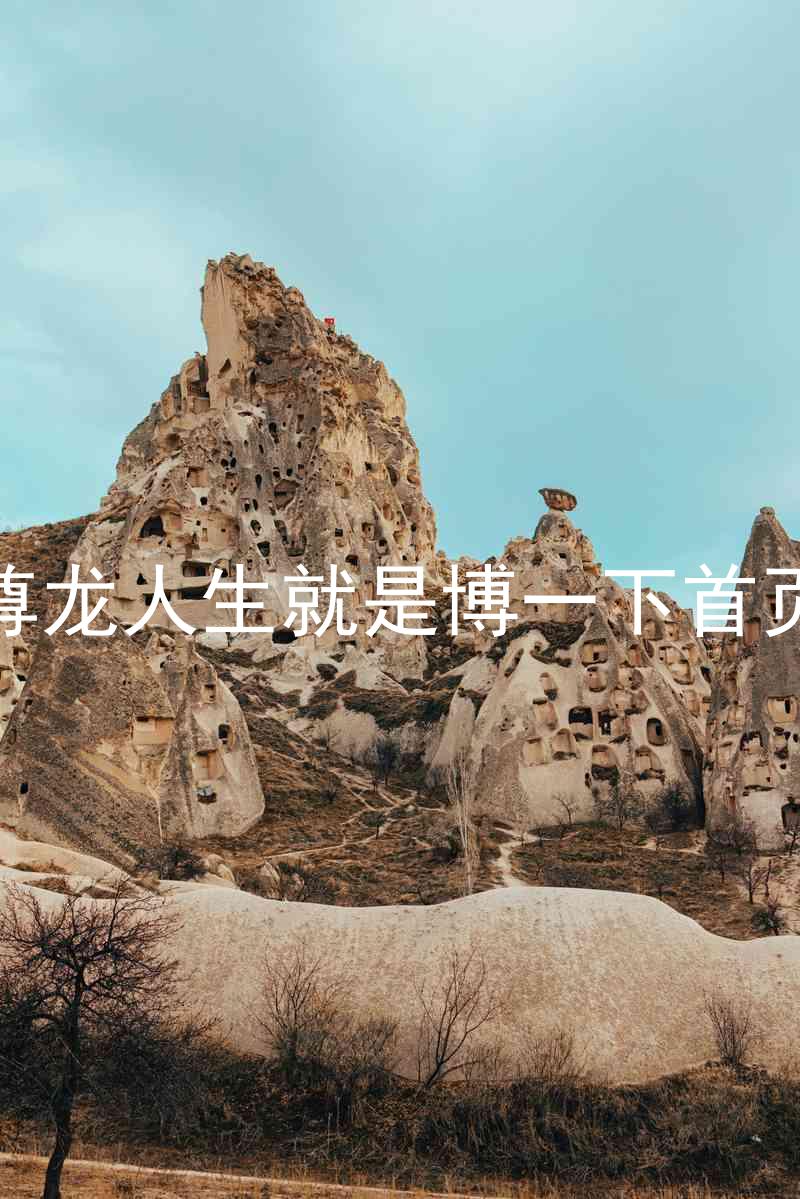 尊龙人生就是博一下首页