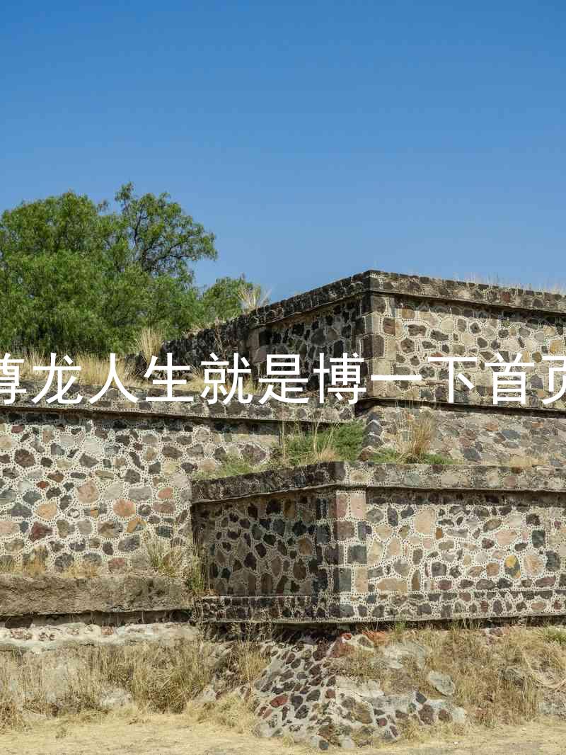 尊龙人生就是博一下首页